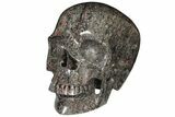 Polished Skull of Crinoidal Limestone #127579-2